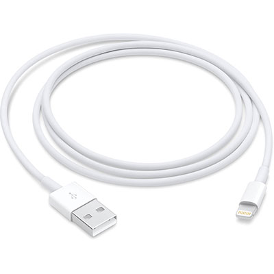 Apple - Lightning to USB Cable (1 m)