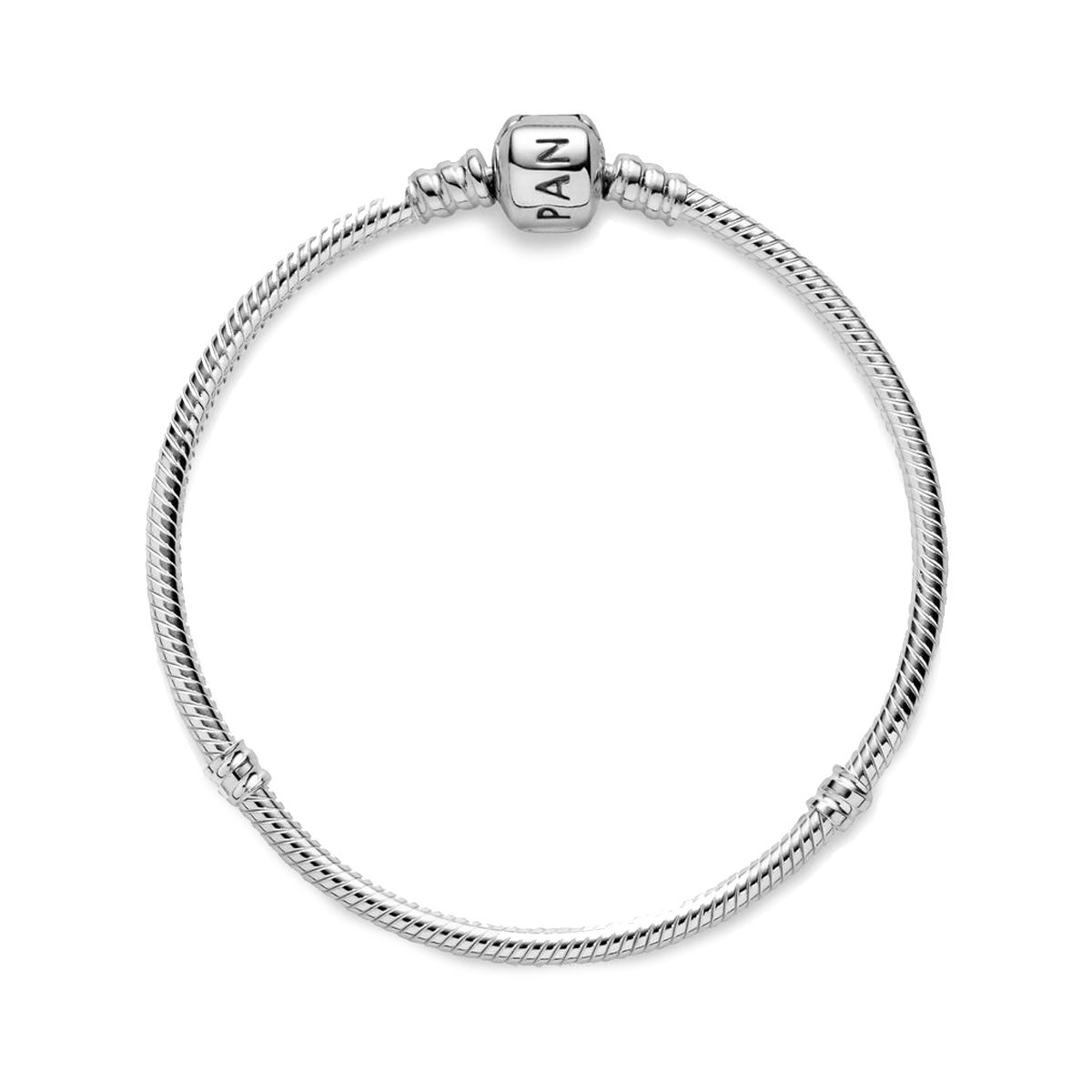 Iconic Silver Charm Bracelet