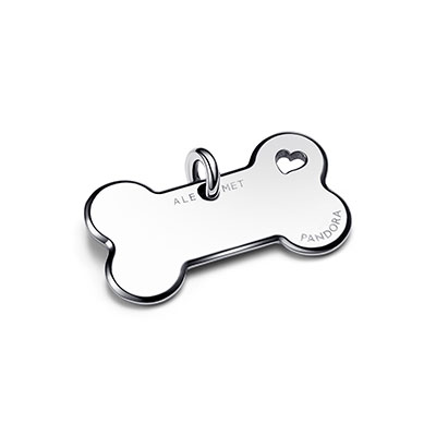Engravable Dog Bone Pet Collar Tag