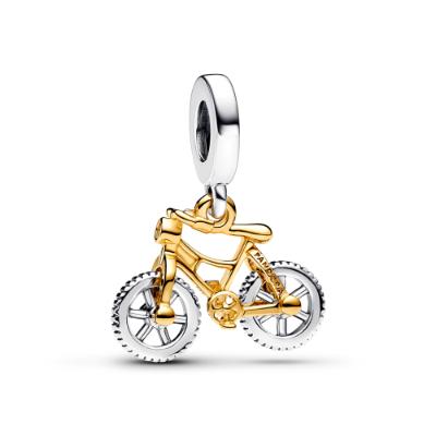 Two-tone Spinning Wheels Bicycle ZC03 Charm